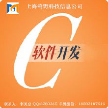 软件定制、IT外包 服务解析、价格因素与厂商选择指南