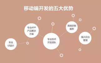 直击软件外包痛点，中科天基成就卓越服务